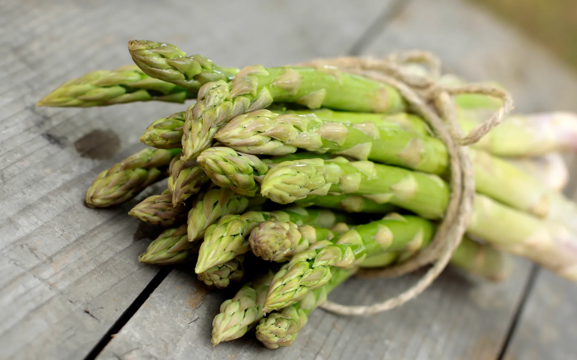  L'immagine mostra un mazzo di asparagini italiani Orogel prima di essere surgelati. Scorpi come cucinare gli asparagi facilmente con molte ricette facili e veloci.