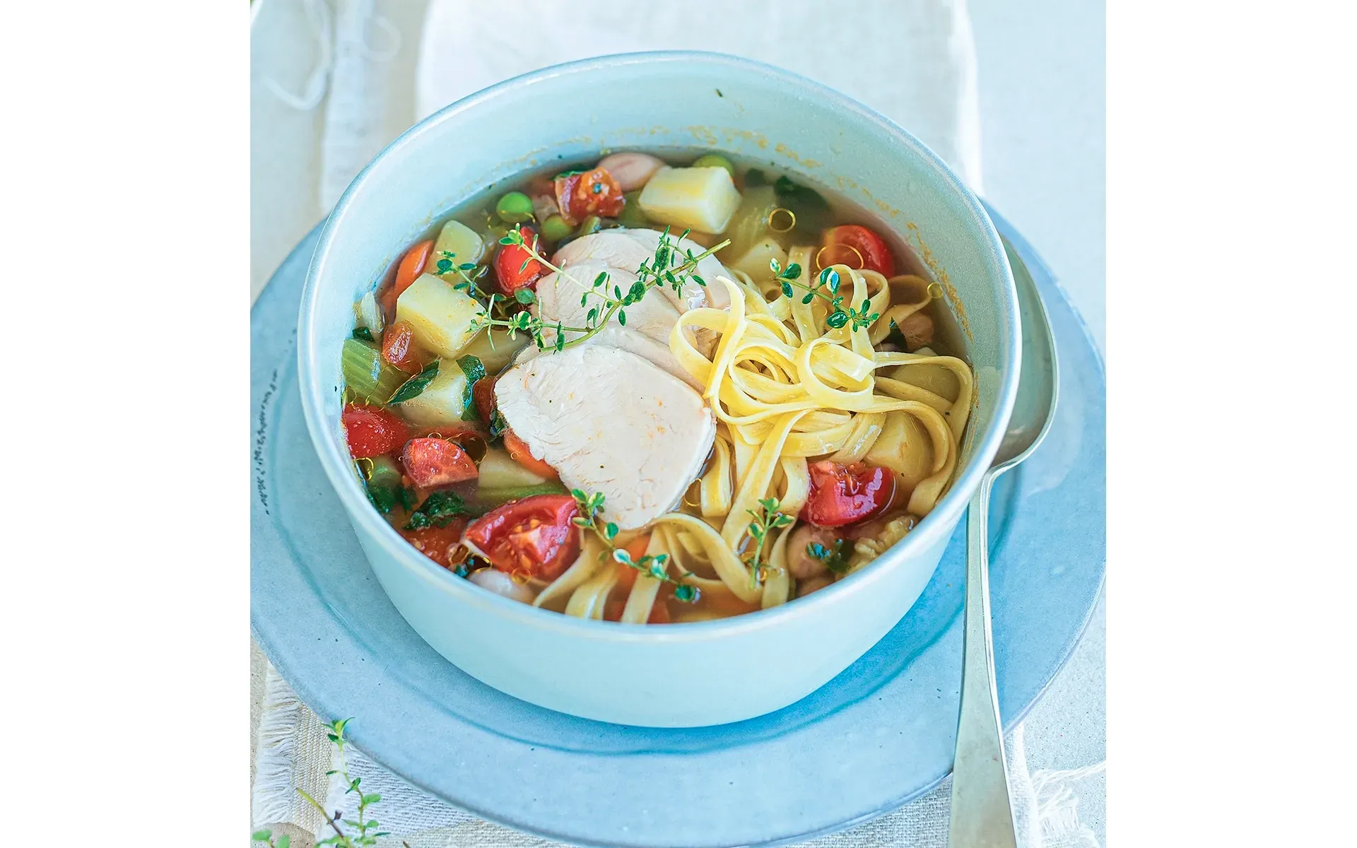 Buon Minestrone con striscioline di pollo e udon