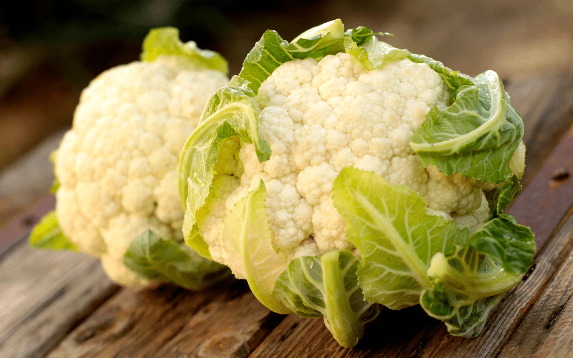 Cavolfiore Rosette Orogel, pratiche cimette di cavolfiore fresco e selezionato.