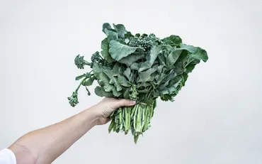 Cavolo Riccio Kale superfood da riscoprire - Blog Orogel